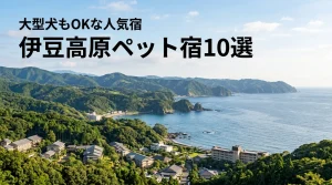 伊豆高原でペットと泊まれる宿ランキング10選！大型犬もOKな人気宿を厳選紹介