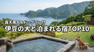 伊豆で犬と泊まれる宿ランキングTOP10！愛犬が喜ぶ露天風呂やドッグラン付きの宿